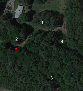 Red dots show approximate positions of 160 meter BS/EF array elements (Google satellite view)